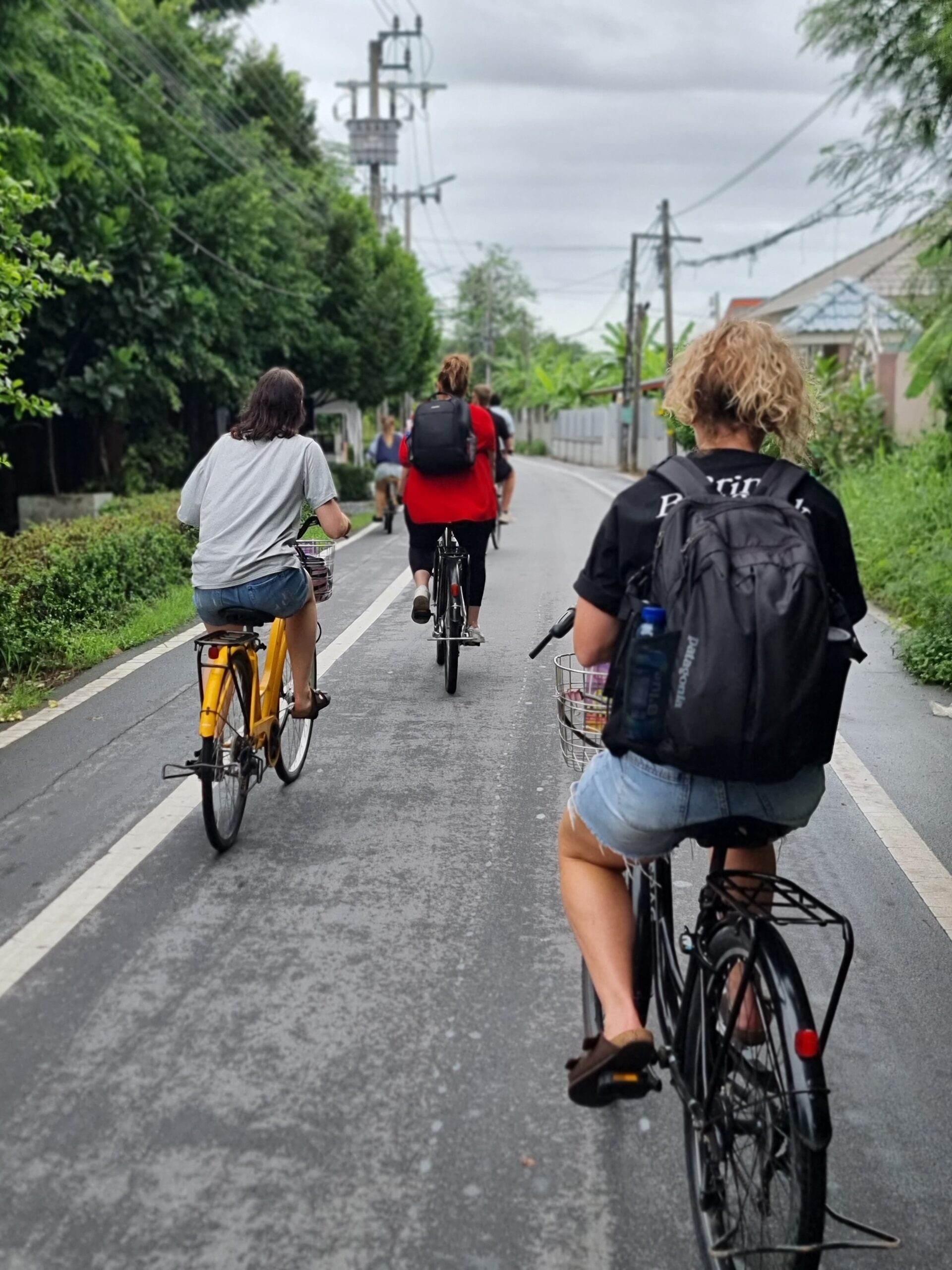 e666fab0-7b78-4c00-985a-08e178eba884